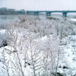dailyPhoto32