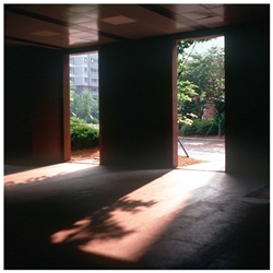 dailyPhoto33