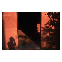 dailyPhoto35