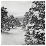 dailyPhoto4