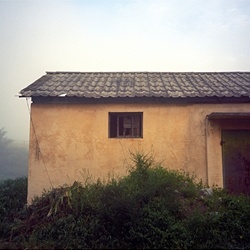 dailyPhoto17