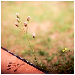 dailyPhoto7