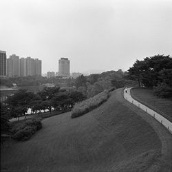 dailyPhoto21