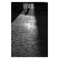 dailyPhoto13