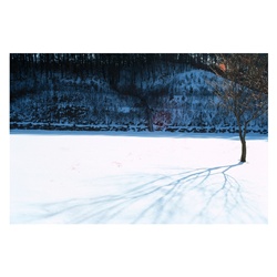 dailyPhoto33