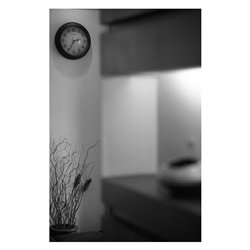 dailyPhoto39