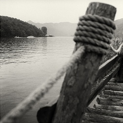 dailyPhoto24