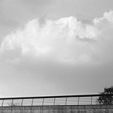 dailyPhoto10