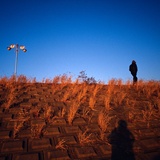 dailyPhoto8