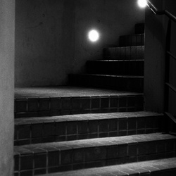 dailyPhoto1