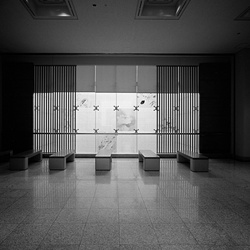 dailyPhoto10