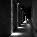 dailyPhoto9