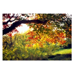 dailyPhoto27