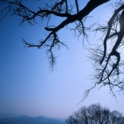 dailyPhoto5