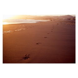 dailyPhoto20