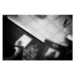 dailyPhoto26