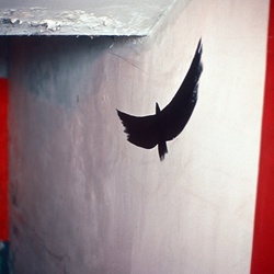 dailyPhoto33