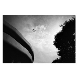 dailyPhoto6