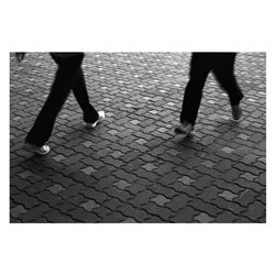 dailyPhoto25