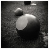 dailyPhoto10