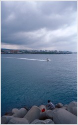 dailyPhoto37