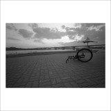 dailyPhoto23