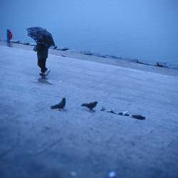 dailyPhoto26