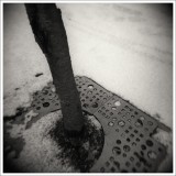 dailyPhoto27
