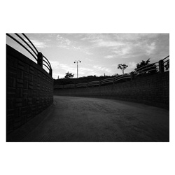 dailyPhoto23