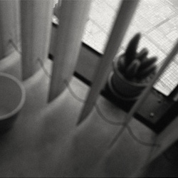dailyPhoto24