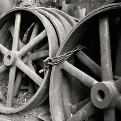 dailyPhoto37
