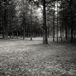 dailyPhoto16