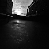 dailyPhoto14