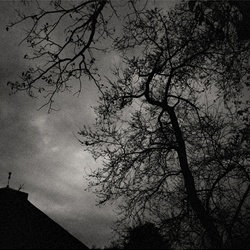 dailyPhoto12