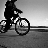 dailyPhoto7