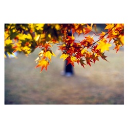 dailyPhoto14