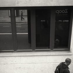 dailyPhoto13