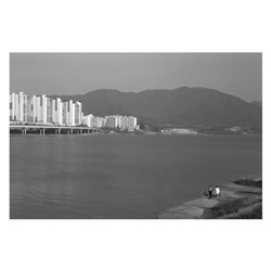 dailyPhoto17