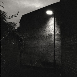 dailyPhoto7