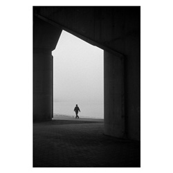 dailyPhoto39