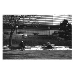 dailyPhoto10