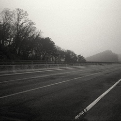 dailyPhoto31