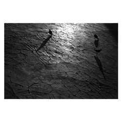 dailyPhoto17