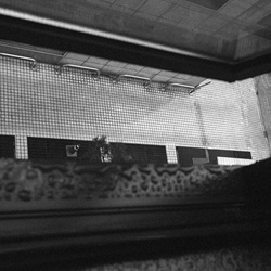 dailyPhoto30