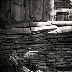 dailyPhoto3