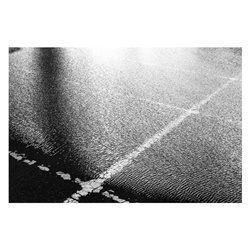 dailyPhoto30