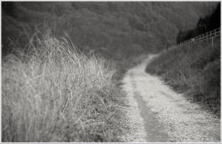 dailyPhoto6