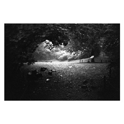 dailyPhoto36