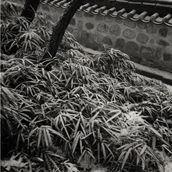 dailyPhoto31