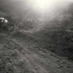 dailyPhoto6
